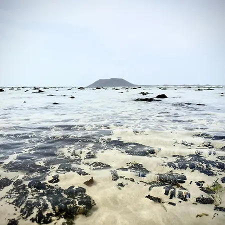 Onix 科拉雷侯