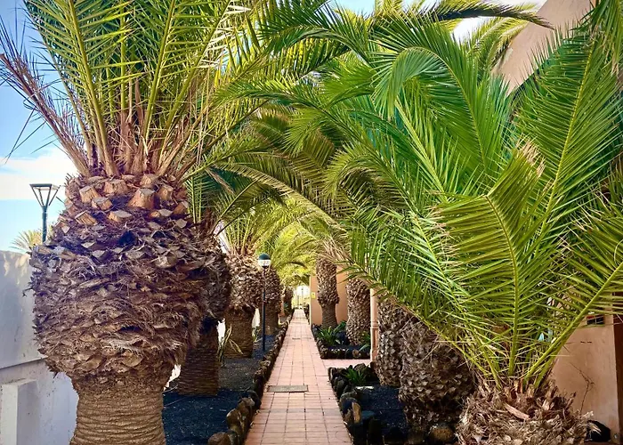 Onix Коральео