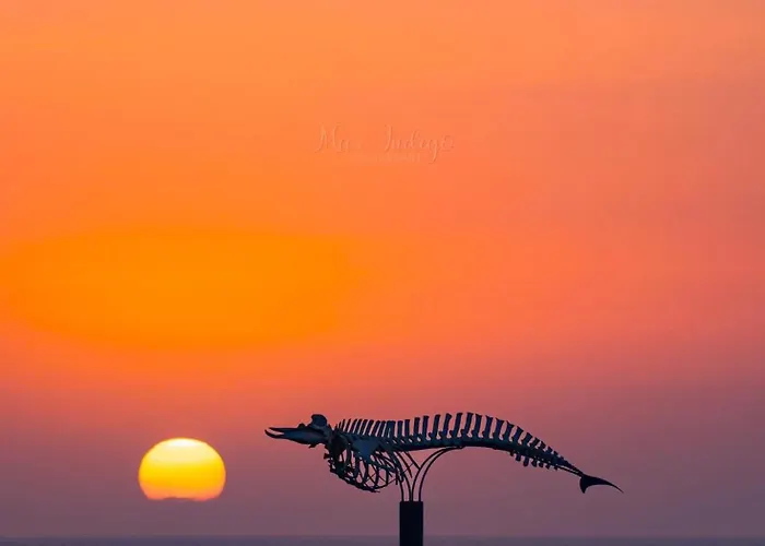 Апартаменты Onix *